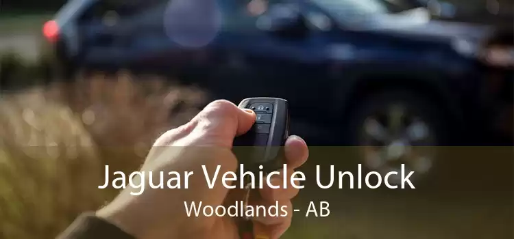 Jaguar Vehicle Unlock Woodlands - AB