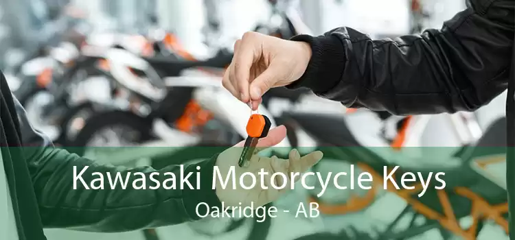 Kawasaki Motorcycle Keys Oakridge - AB