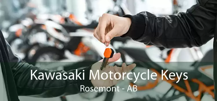 Kawasaki Motorcycle Keys Rosemont - AB