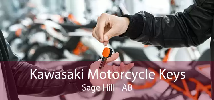 Kawasaki Motorcycle Keys Sage Hill - AB