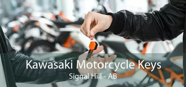 Kawasaki Motorcycle Keys Signal Hill - AB