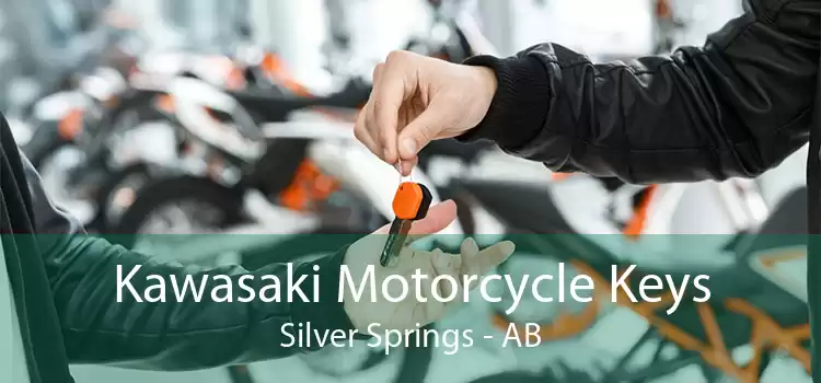 Kawasaki Motorcycle Keys Silver Springs - AB