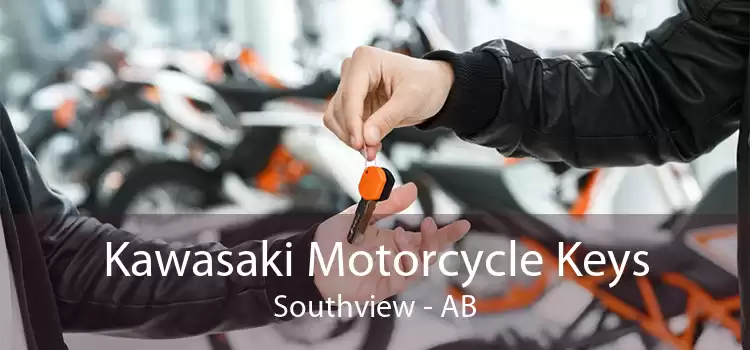 Kawasaki Motorcycle Keys Southview - AB