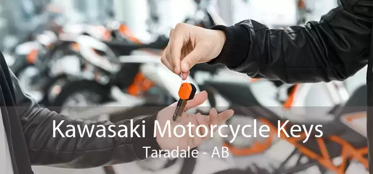Kawasaki Motorcycle Keys Taradale - AB
