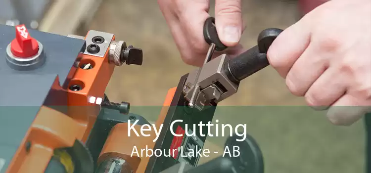 Key Cutting Arbour Lake - AB