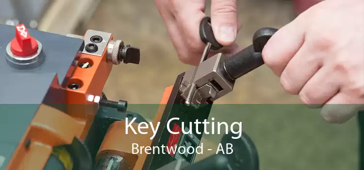 Key Cutting Brentwood - AB