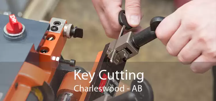Key Cutting Charleswood - AB