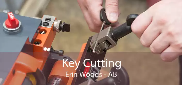 Key Cutting Erin Woods - AB