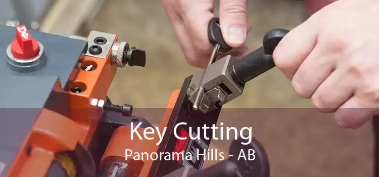 Key Cutting Panorama Hills - AB