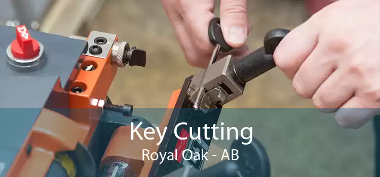 Key Cutting Royal Oak - AB