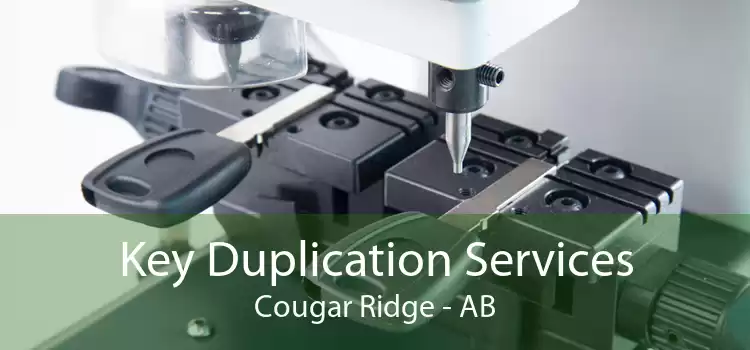 Key Duplication Services Cougar Ridge - AB