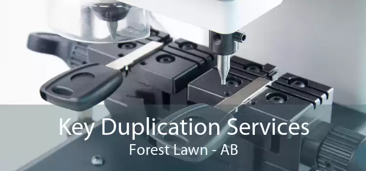 Key Duplication Services Forest Lawn - AB