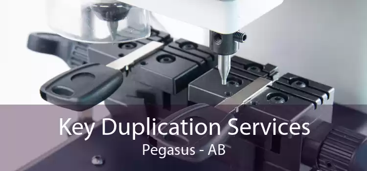 Key Duplication Services Pegasus - AB