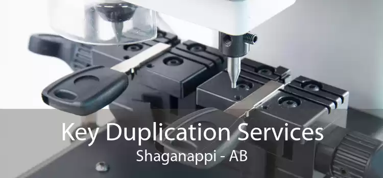 Key Duplication Services Shaganappi - AB