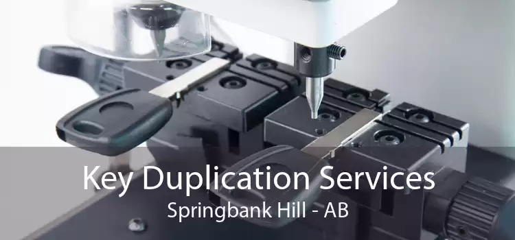 Key Duplication Services Springbank Hill - AB