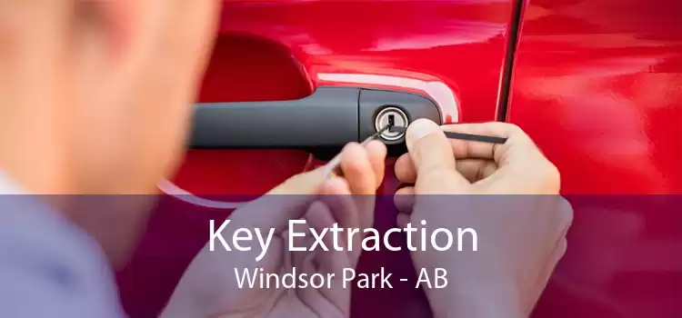 Key Extraction Windsor Park - AB