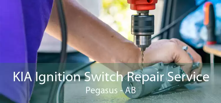 KIA Ignition Switch Repair Service Pegasus - AB