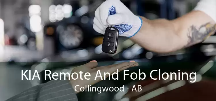 KIA Remote And Fob Cloning Collingwood - AB