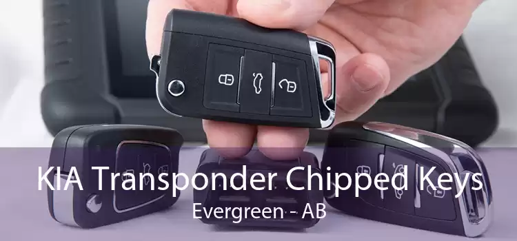 KIA Transponder Chipped Keys Evergreen - AB