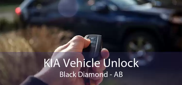 KIA Vehicle Unlock Black Diamond - AB