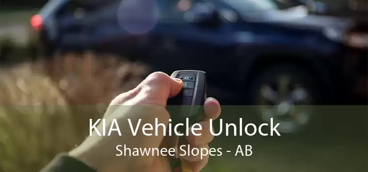 KIA Vehicle Unlock Shawnee Slopes - AB