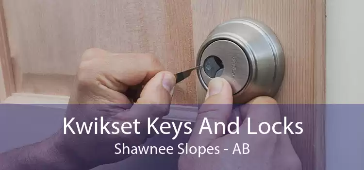 Kwikset Keys And Locks Shawnee Slopes - AB