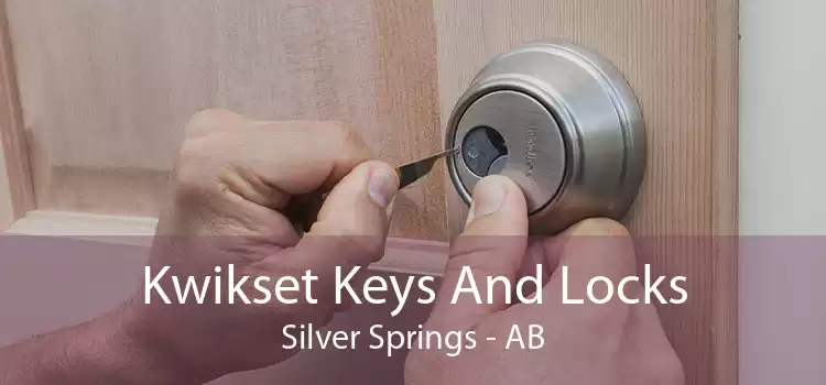Kwikset Keys And Locks Silver Springs - AB