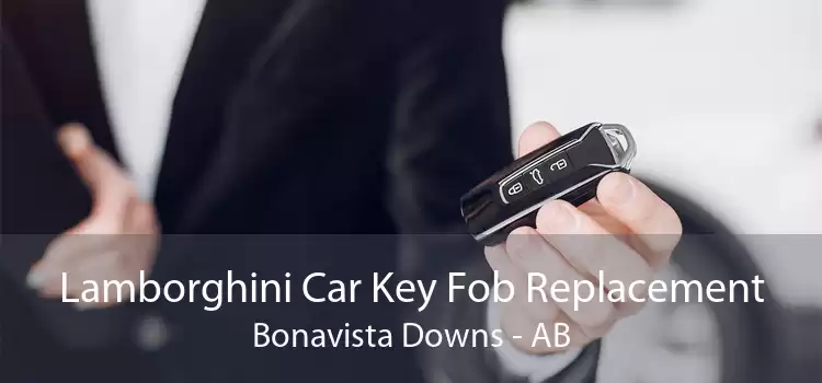 Lamborghini Car Key Fob Replacement Bonavista Downs - AB