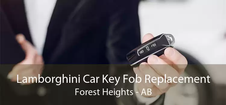Lamborghini Car Key Fob Replacement Forest Heights - AB