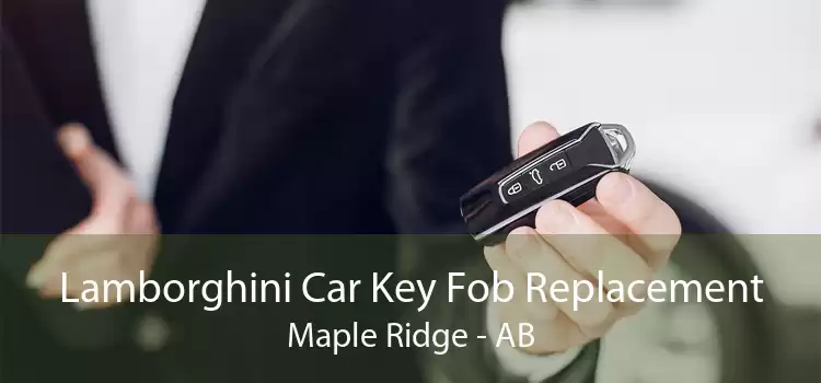 Lamborghini Car Key Fob Replacement Maple Ridge - AB