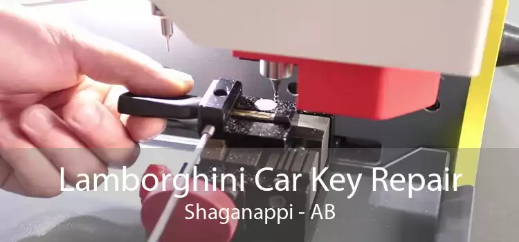 Lamborghini Car Key Repair Shaganappi - AB