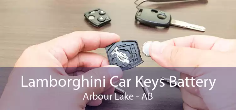 Lamborghini Car Keys Battery Arbour Lake - AB