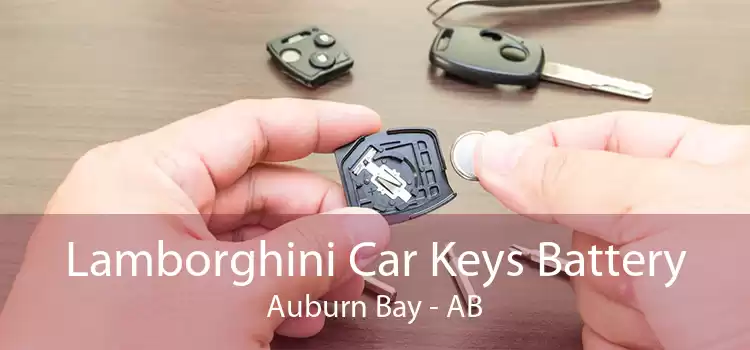 Lamborghini Car Keys Battery Auburn Bay - AB