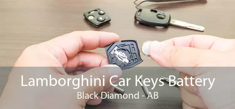 Lamborghini Car Keys Battery Black Diamond - AB