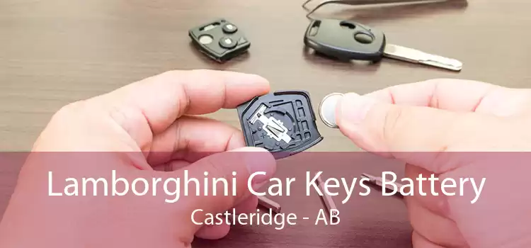 Lamborghini Car Keys Battery Castleridge - AB