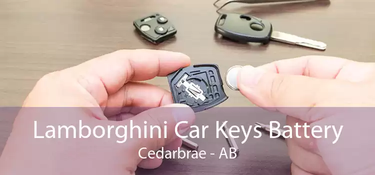 Lamborghini Car Keys Battery Cedarbrae - AB