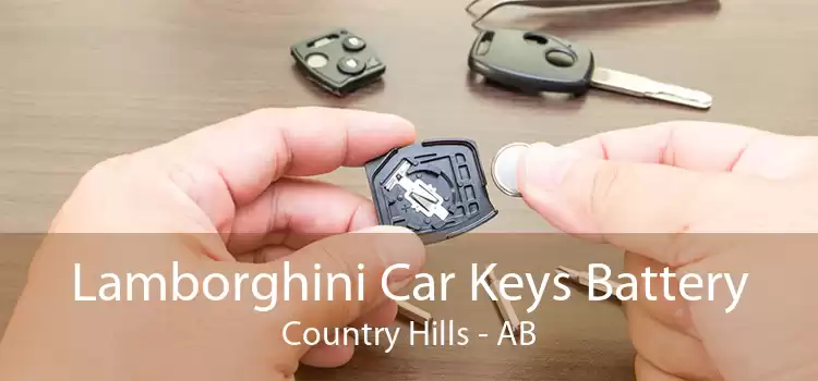 Lamborghini Car Keys Battery Country Hills - AB