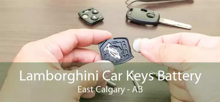 Lamborghini Car Keys Battery East Calgary - AB