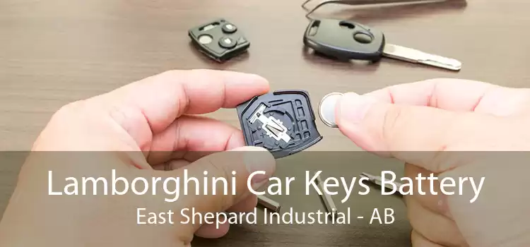 Lamborghini Car Keys Battery East Shepard Industrial - AB