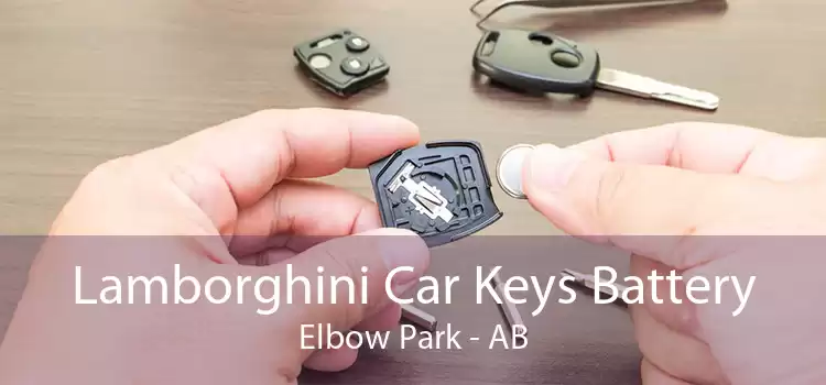 Lamborghini Car Keys Battery Elbow Park - AB