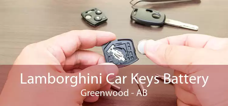 Lamborghini Car Keys Battery Greenwood - AB