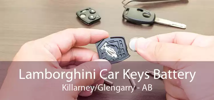 Lamborghini Car Keys Battery Killarney/Glengarry - AB
