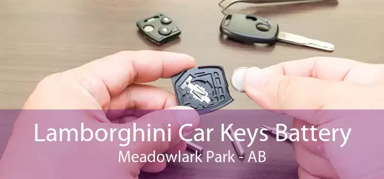 Lamborghini Car Keys Battery Meadowlark Park - AB