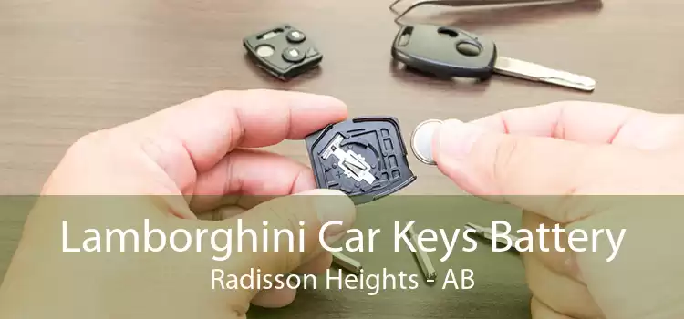 Lamborghini Car Keys Battery Radisson Heights - AB