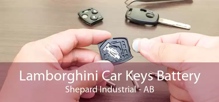 Lamborghini Car Keys Battery Shepard Industrial - AB