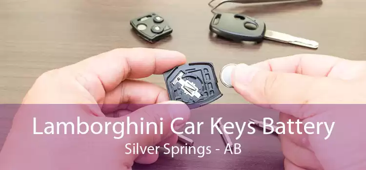 Lamborghini Car Keys Battery Silver Springs - AB