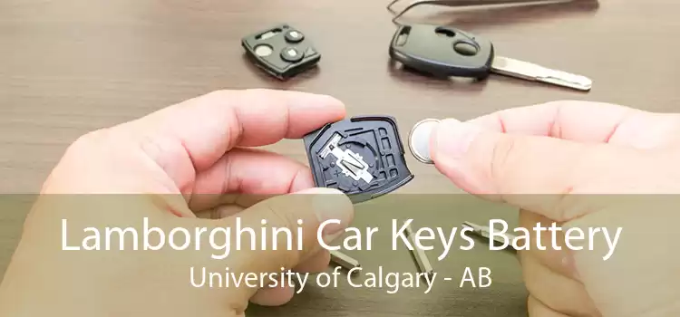 Lamborghini Car Keys Battery University of Calgary - AB