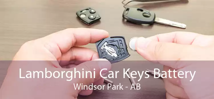 Lamborghini Car Keys Battery Windsor Park - AB