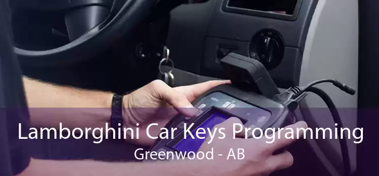 Lamborghini Car Keys Programming Greenwood - AB