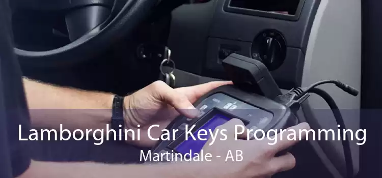 Lamborghini Car Keys Programming Martindale - AB